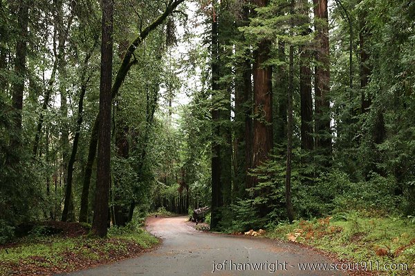 IMG 0684 - All rights reserved. Any use or reproduction only by written permission of owner. IMG 0684 - All rights reserved. Any use or reproduction only by written permission of owner.