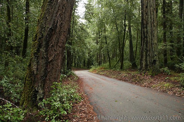 IMG 0680 - All rights reserved. Any use or reproduction only by written permission of owner. IMG 0680 - All rights reserved. Any use or reproduction only by written permission of owner.