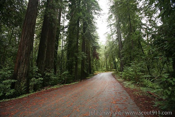 IMG 0720 - All rights reserved. Any use or reproduction only by written permission of owner. IMG 0720 - All rights reserved. Any use or reproduction only by written permission of owner.