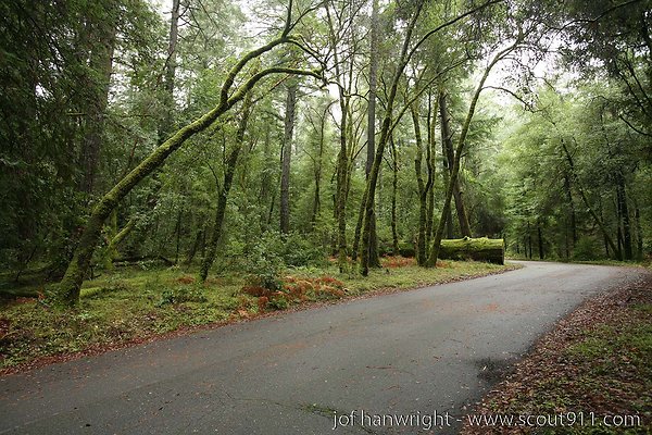 IMG 0746 - All rights reserved. Any use or reproduction only by written permission of owner. IMG 0746 - All rights reserved. Any use or reproduction only by written permission of owner.