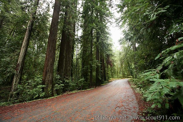 IMG 0723 - All rights reserved. Any use or reproduction only by written permission of owner. IMG 0723 - All rights reserved. Any use or reproduction only by written permission of owner.