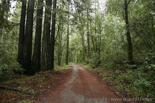 IMG 0755 - All rights reserved. Any use or reproduction only by written permission of owner. IMG 0755 - All rights reserved. Any use or reproduction only by written permission of owner.