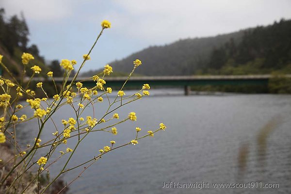 hwy 1 at 128 hwy 1 at 128