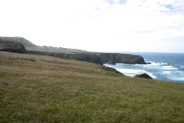 Michael Garrison - 16 Michael Garrison - 16