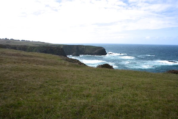 Michael Garrison - 17 Michael Garrison - 17