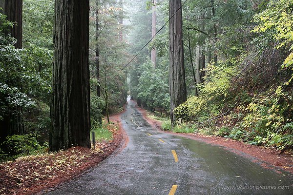 fish rock road fish rock road