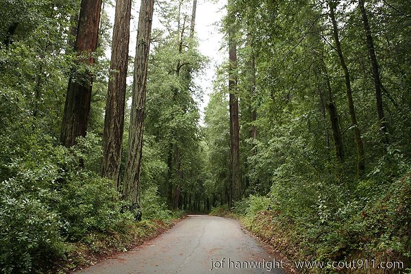 hendy woods hendy woods