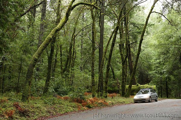 IMG 0698 - All rights reserved. Any use or reproduction only by written permission of owner. IMG 0698 - All rights reserved. Any use or reproduction only by written permission of owner.