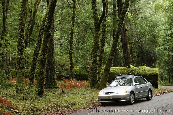 IMG 0701 - All rights reserved. Any use or reproduction only by written permission of owner. IMG 0701 - All rights reserved. Any use or reproduction only by written permission of owner.