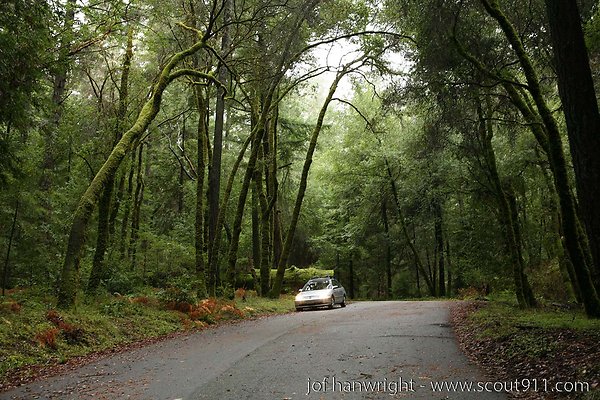 IMG 0697 - All rights reserved. Any use or reproduction only by written permission of owner. IMG 0697 - All rights reserved. Any use or reproduction only by written permission of owner.