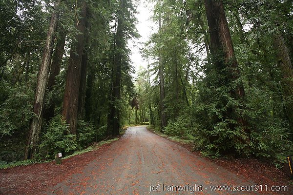 IMG 0711 - All rights reserved. Any use or reproduction only by written permission of owner. IMG 0711 - All rights reserved. Any use or reproduction only by written permission of owner.