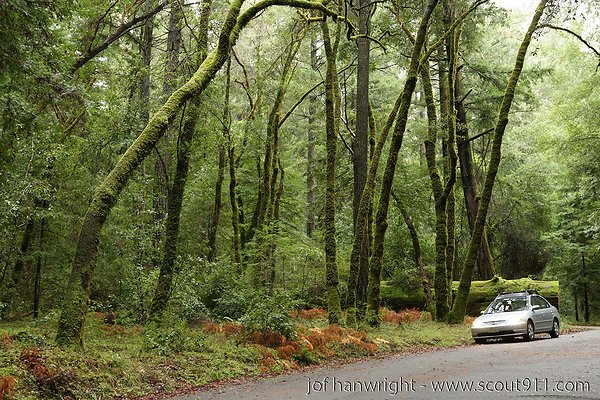 IMG 0699 - All rights reserved. Any use or reproduction only by written permission of owner. IMG 0699 - All rights reserved. Any use or reproduction only by written permission of owner.