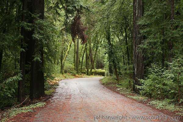 IMG 0706 - All rights reserved. Any use or reproduction only by written permission of owner. IMG 0706 - All rights reserved. Any use or reproduction only by written permission of owner.