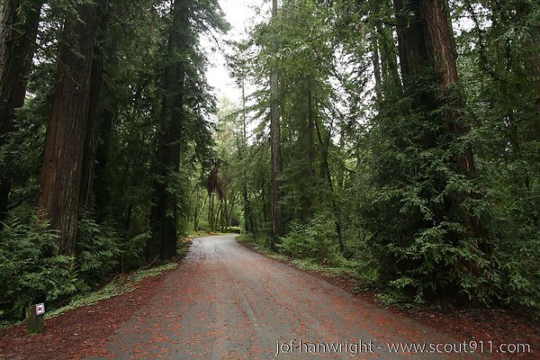 IMG 0712 - All rights reserved. Any use or reproduction only by written permission of owner. IMG 0712 - All rights reserved. Any use or reproduction only by written permission of owner.