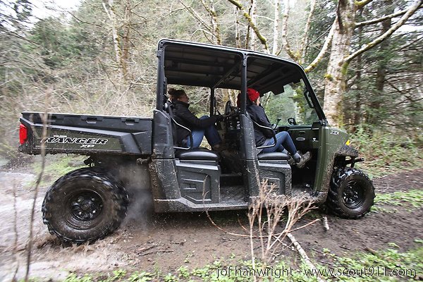 IMG 3410 - All rights reserved. Any use or reproduction only by written permission of owner. IMG 3410 - All rights reserved. Any use or reproduction only by written permission of owner.