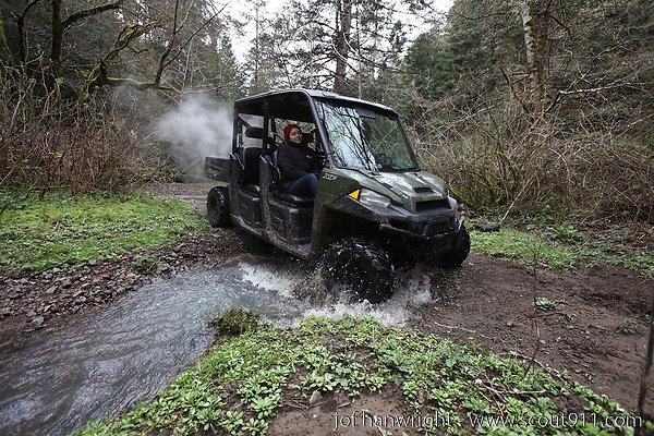 IMG 3404 - All rights reserved. Any use or reproduction only by written permission of owner. IMG 3404 - All rights reserved. Any use or reproduction only by written permission of owner.