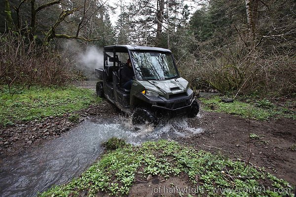 IMG 3403 - All rights reserved. Any use or reproduction only by written permission of owner. IMG 3403 - All rights reserved. Any use or reproduction only by written permission of owner.