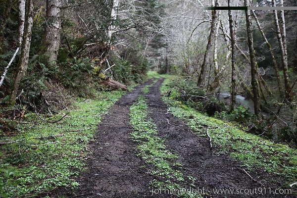 IMG 3379 - All rights reserved. Any use or reproduction only by written permission of owner. IMG 3379 - All rights reserved. Any use or reproduction only by written permission of owner.