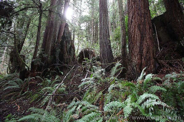 IMG 3501 - All rights reserved. Any use or reproduction only by written permission of owner. IMG 3501 - All rights reserved. Any use or reproduction only by written permission of owner.