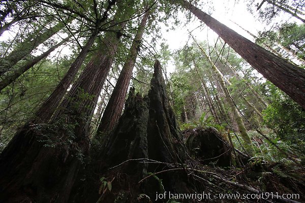 IMG 3480 - All rights reserved. Any use or reproduction only by written permission of owner. IMG 3480 - All rights reserved. Any use or reproduction only by written permission of owner.