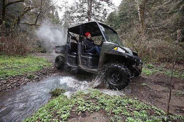 IMG 3405 - All rights reserved. Any use or reproduction only by written permission of owner. IMG 3405 - All rights reserved. Any use or reproduction only by written permission of owner.