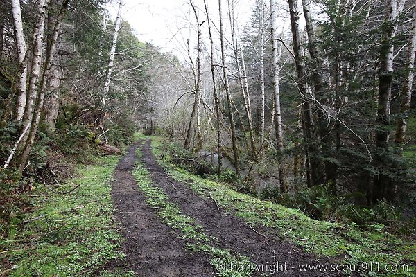 IMG 3373 - All rights reserved. Any use or reproduction only by written permission of owner. IMG 3373 - All rights reserved. Any use or reproduction only by written permission of owner.