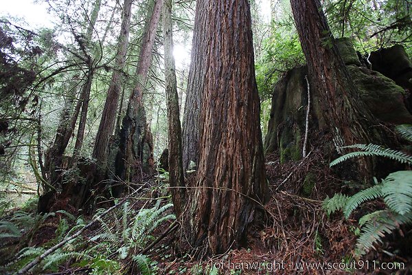 IMG 3513 - All rights reserved. Any use or reproduction only by written permission of owner. IMG 3513 - All rights reserved. Any use or reproduction only by written permission of owner.