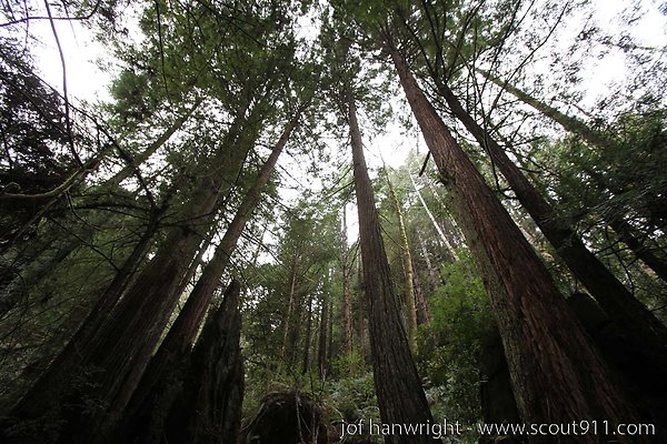 IMG 3478 - All rights reserved. Any use or reproduction only by written permission of owner. IMG 3478 - All rights reserved. Any use or reproduction only by written permission of owner.