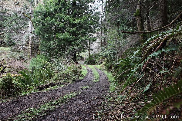 IMG 3423 - All rights reserved. Any use or reproduction only by written permission of owner. IMG 3423 - All rights reserved. Any use or reproduction only by written permission of owner.