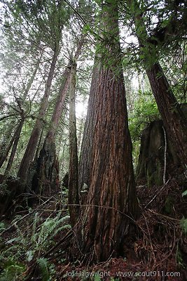 IMG 3518 - All rights reserved. Any use or reproduction only by written permission of owner. IMG 3518 - All rights reserved. Any use or reproduction only by written permission of owner.