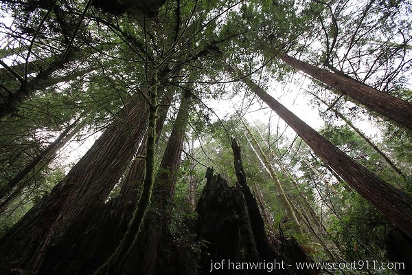 IMG 3497 - All rights reserved. Any use or reproduction only by written permission of owner. IMG 3497 - All rights reserved. Any use or reproduction only by written permission of owner.