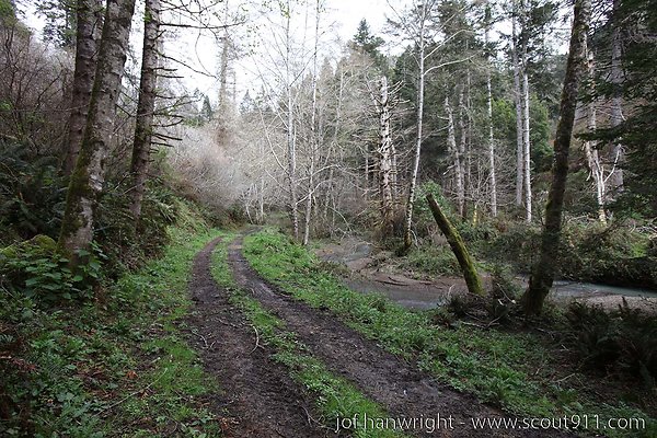 the inn east the inn east