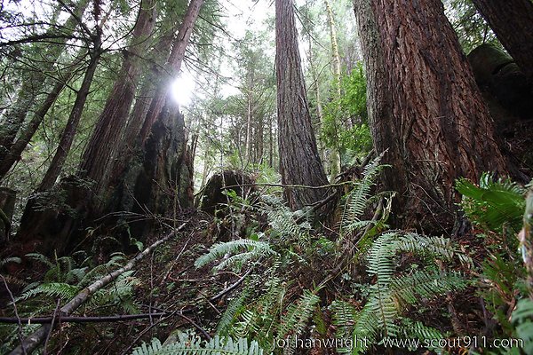 IMG 3507 - All rights reserved. Any use or reproduction only by written permission of owner. IMG 3507 - All rights reserved. Any use or reproduction only by written permission of owner.