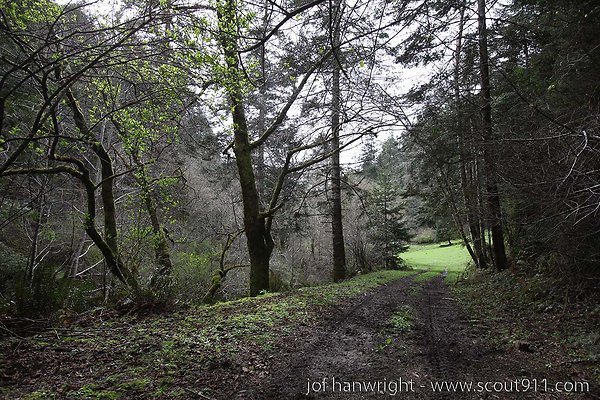 IMG 3370 - All rights reserved. Any use or reproduction only by written permission of owner. IMG 3370 - All rights reserved. Any use or reproduction only by written permission of owner.