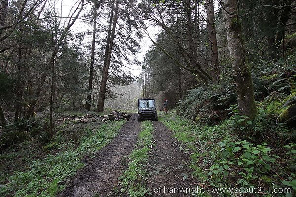 IMG 3367 - All rights reserved. Any use or reproduction only by written permission of owner. IMG 3367 - All rights reserved. Any use or reproduction only by written permission of owner.