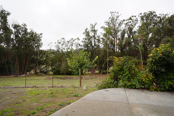 261sprauerpetaluma - 62 261sprauerpetaluma - 62