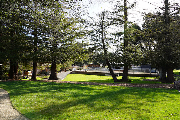 bloom ranch novato - 43 bloom ranch novato - 43