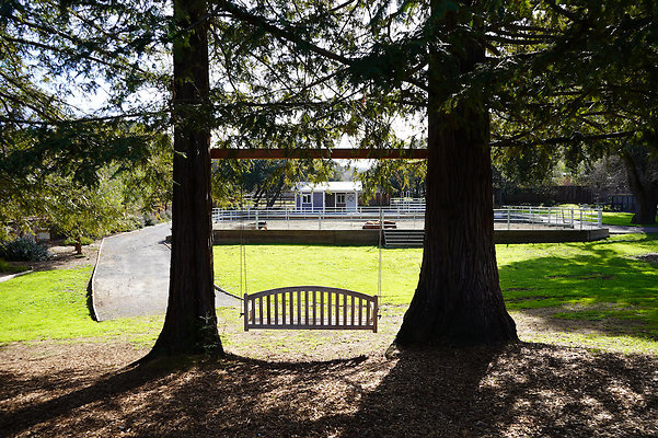 bloom ranch novato - 53 bloom ranch novato - 53