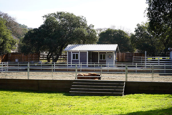 bloom ranch novato - 55 bloom ranch novato - 55