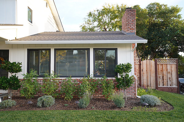 sancarlosnovato - 5 sancarlosnovato - 5