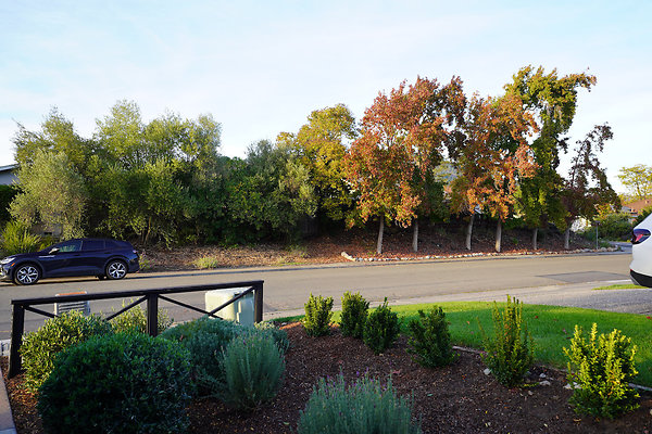 sancarlosnovato - 18 sancarlosnovato - 18