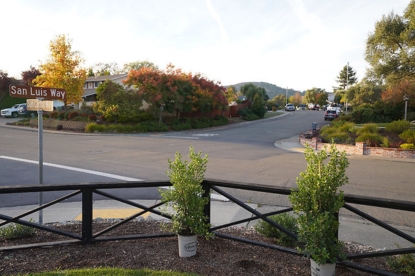 sancarlosnovato - 7 sancarlosnovato - 7