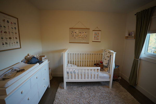 sancarlosnovato - 38 sancarlosnovato - 38