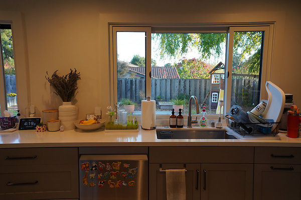 sancarlosnovato - 32 sancarlosnovato - 32