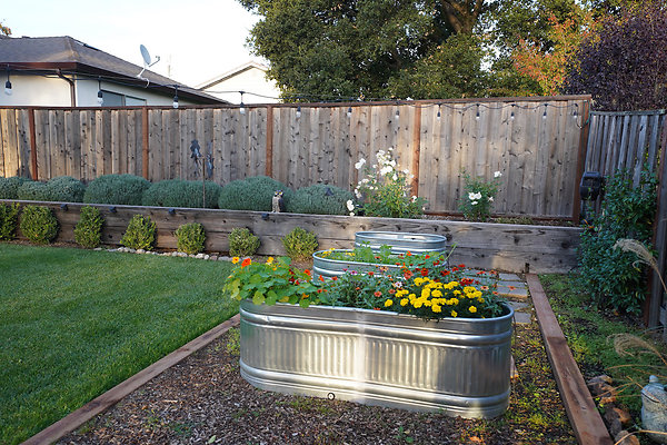 sancarlosnovato - 50 sancarlosnovato - 50