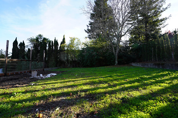 smithpetaluma - 52 smithpetaluma - 52