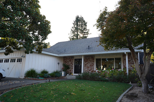 smithpetaluma - 3 smithpetaluma - 3