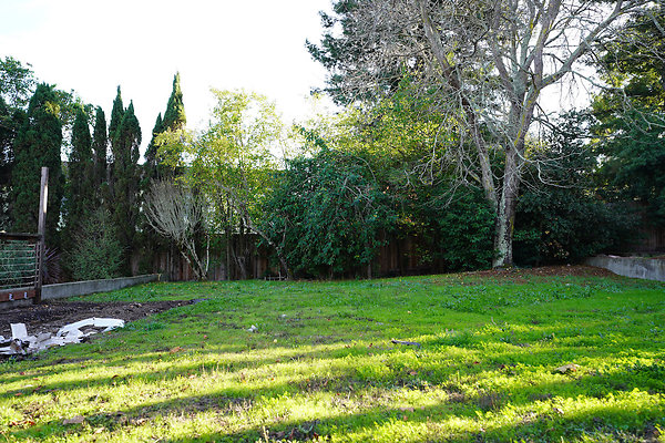 smithpetaluma - 51 smithpetaluma - 51