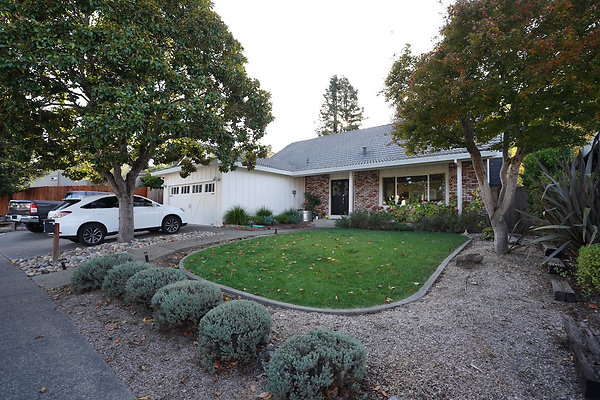 smithpetaluma - 4 smithpetaluma - 4