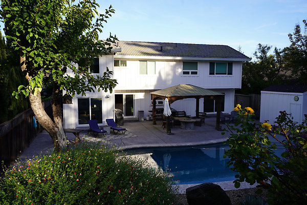 smithpetaluma - 50 smithpetaluma - 50